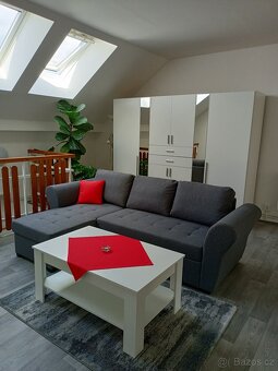 Pronájem velkého bytu 1+kk - 4