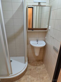 Pronájem 2+1 62m2 - 4