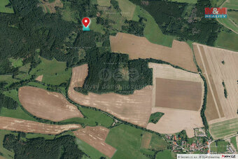 Prodej lesa, 11506 m², Milejovice - 4