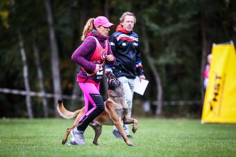 Belgický ovčák malinois - 4