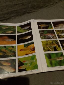 Vede atlas akvaristika - 4
