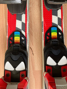 Elan ExarPro 100cm - 4