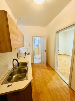 Pronájem bytu 2+1, Šternberk - 4