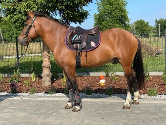 4letý kompaktní Valášek 145cm - 4