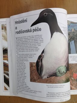 Ptáci celého světa a jejich život - 4