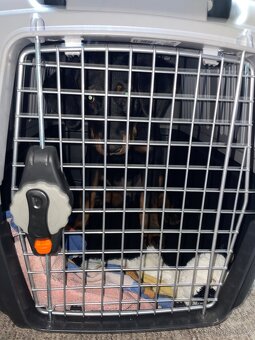 Přepravní box na psa - 4