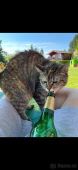 Darujeme Merlina a Meggie - 4