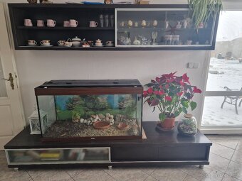 Nabízím obývací stěnu +stůl zdarma - 4