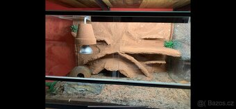 Terárium 60x40x30 s 3D stěnou - 4