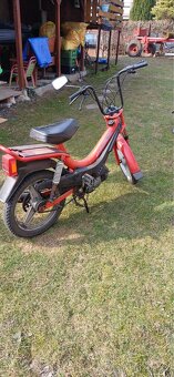 Babeta mp Korado - 4