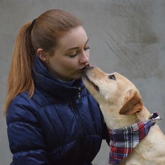 Sirius hledá domov - 4