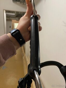 Hackamore - 4