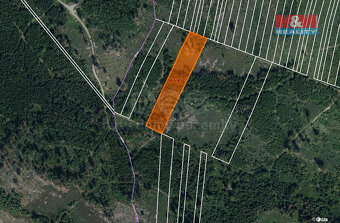Prodej lesa, 6092 m², Nová Hradečná - 4