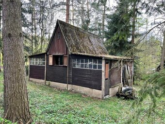 Prodej chaty 40 m², pozemek 300 m² Skuhrov - Hodyně - 4