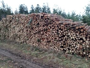 Prodám pelety EN A1 6mm, řezivo, palivové dřevo , štěpka - 4