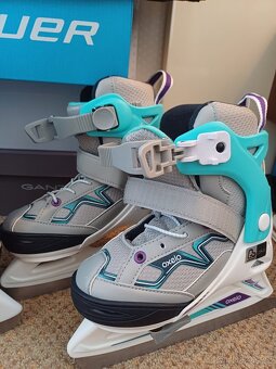 Bauer - 4
