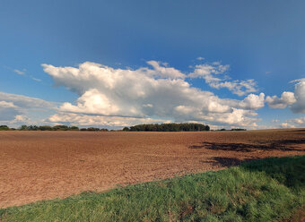 Pole v okresu Kutná Hora - 4