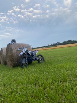 Leramotors 250 Killer - 4