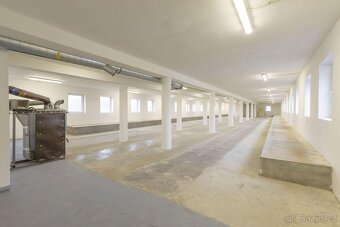 Pronájem komerčních prostor Zámrsk - 4