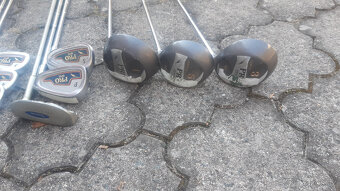 Golfové hole s vozíkem - 4