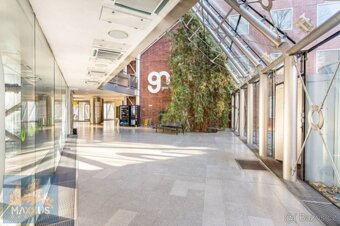 Pronájem kancelářských prostor (520 m2) Plynárenská, Brno - 4