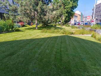 Zahradník, údržba a realizace zahrad a zeleně - 4