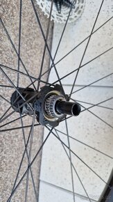 Kola DT Swiss M1900 (07/2022) - 4