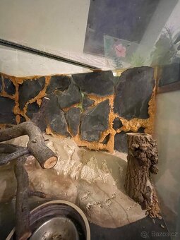 Terárium rohové - 4