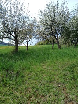 Prodej lukrativního pozemku 4041 m2 určeného k bydlení v mal - 4
