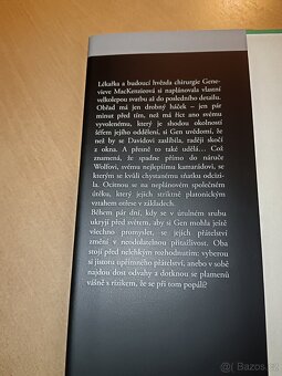 Hledání podmanivé krásy - 4