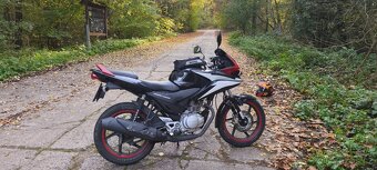 Honda cbf 125 - 4