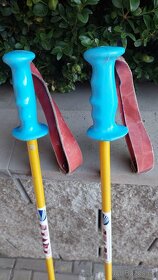 Lyžařské hole - 4