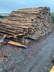 Palivové dřevo měkké-tvrdé - 4