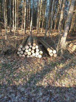 Prodám palivové dřevo - 4