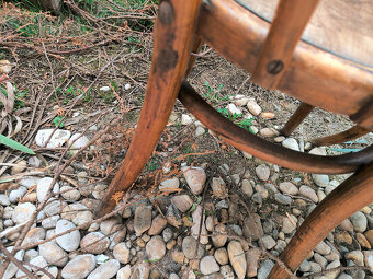 Staré židle Thonet k renovaci - 4
