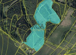 Nabídka pozemků o výměře 37109 m2 v k.ú. Borovnička (okres T - 4