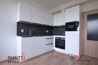 Pronájem, byty/1+kk, 35 m2, U Velkého rybníka 2313/27, 30100 - 4