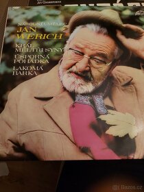 7x LP: Werich,Fimfarum,švejk,Holzman,Mládek, - 4