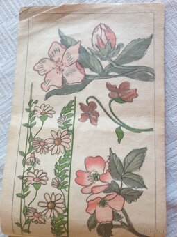 Prodám staré ruské předlohy - 4