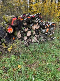 Bříza, proschlé palivové dřevo 3m3. - 4