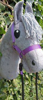 Hobby horse - 4