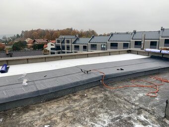 NABÍZÍM PRÁCI / BRIGÁDU - 4