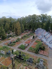 Rizikové kácení, ořezy stromů, řez ovocných stromů

 - 4