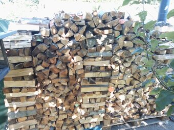 Dřevo na území - 4