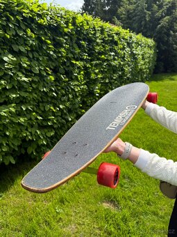 Tempish longboard - 4