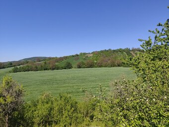 Zahrada Bohuslavice u Kyjova 3320 m² - 4