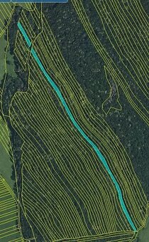 Prodej lesa 7429 m² Nivnice - 4