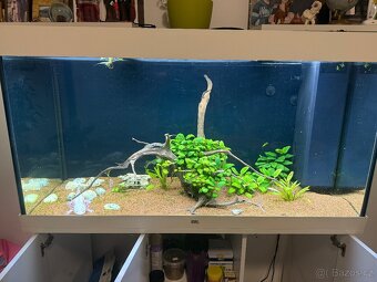 Akvárium Juwel Rio 360l - 4