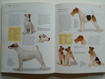 Pes a péče o něj - 4