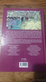 KNIHA O PLZNI - 4